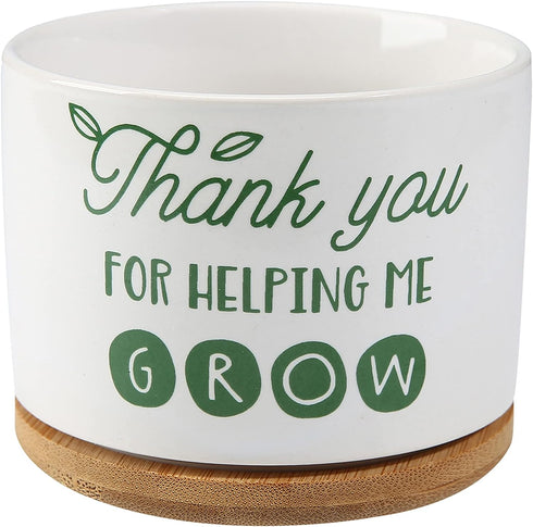Ceramic Succulent Plant Pot - Teacher Appreciation Gift
